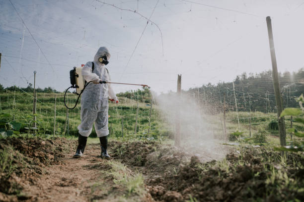 Best Mosquito Control Services  in Cherry Hill Mall, NJ