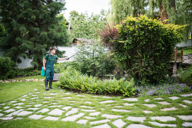 Best Best Pest Control Companies  in Cherry Hill Mall, NJ