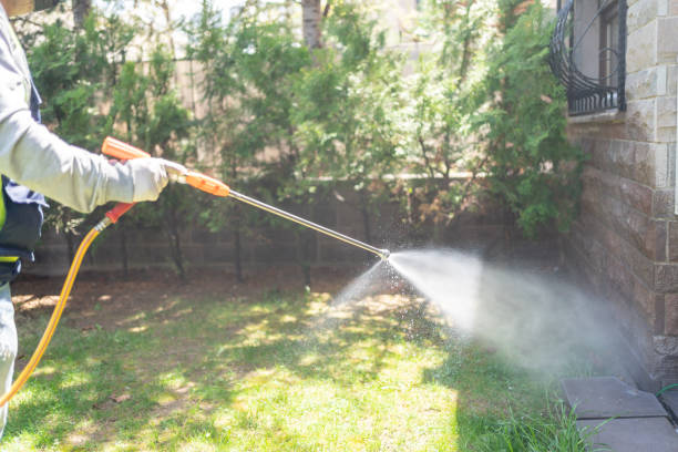 Best Wasp Removal Services  in Cherry Hill Mall, NJ